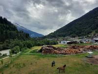 Fahrt mit dem Glacier-Express (Goms - Fiesch)