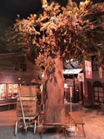 Zermatt - Matterhorn Museum