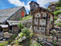 Fahrt von Täsch zur Schwägalp - Grimselpass (Murmeltierpark)