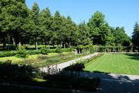 Blick in den Rosengarten