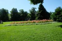 Blick in den Rosengarten