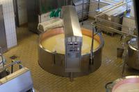 Bei der Käseherstellung