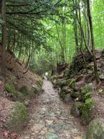 Küssnacht Stopp an der hohlen Gasse 