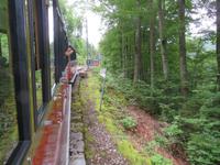 Fahrt mit der Zahnradbahn auf die Schynige Platte