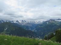 Fahrt mit der Zahnradbahn auf die Schynige Platte
