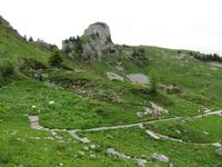 Auf der Schynigen Platte 