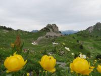 Auf der Schynigen Platte 