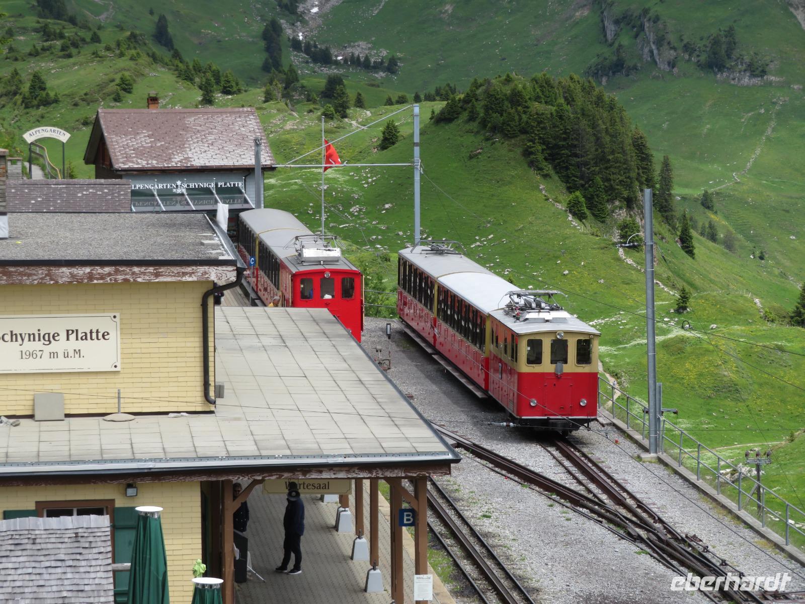 Auf der Schynigen Platte 