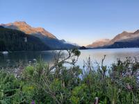 Morgenstimmung am Silser See