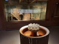 St. Moritz - Forum Paracelsus (Trinkhalle)