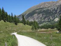 Pferdekutschfahrt ins Val Roseg