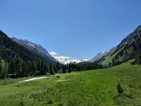 Pferdekutschfahrt ins Val Roseg