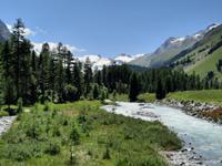 Pferdekutschfahrt ins Val Roseg