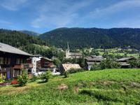 Fahrtimpressionen mit dem Glacier-Express (Goms - Fiesch)