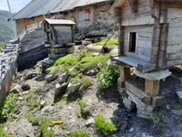 Grimselpass - Murmeltierpark