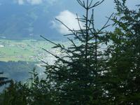 Fahrt mit der Zahnradbahn zur Schynige Platte