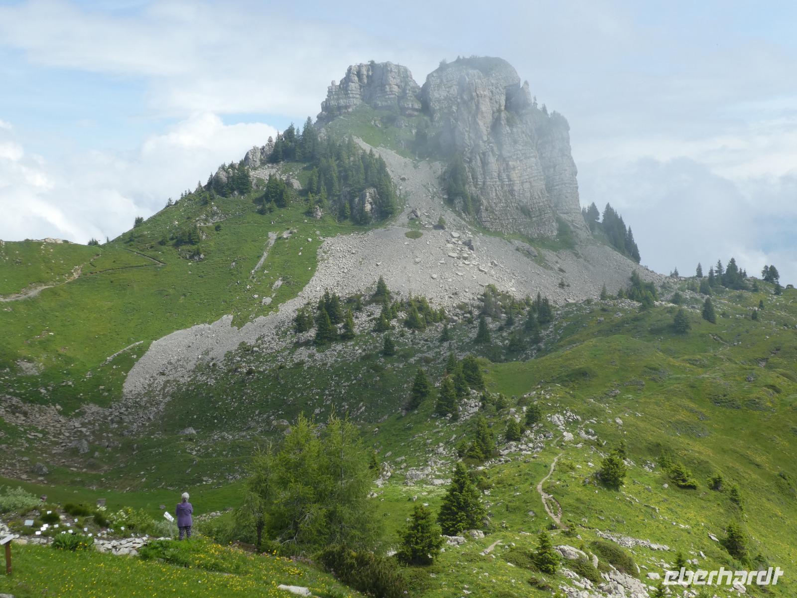 Schynige Platte Alpengarten