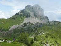 Schynige Platte Alpengarten