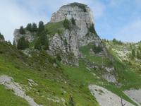 Schynige Platte Alpengarten