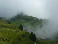 Schynige Platte Alpengarten