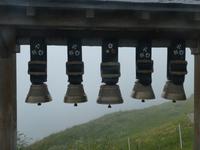 Schynige Platte Alpengarten