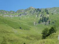Fahrt zum Brienzer Horn