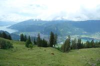 Interlaken zwischen Thuner und Brienzer See