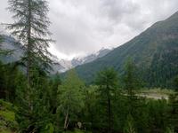 Blick zum Morteratschgletscher