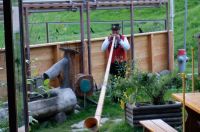 Begrüßung durch einen Alphornbläser