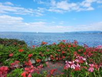 Bodensee - Rorschach (Uferpromenade)