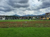 Appenzell - Besuch der Appenzeller Alpenbitter AG (eigener Kräuteranbau - Gelber Enzian)