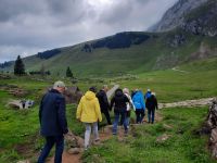 Wanderung auf der Schwägalp