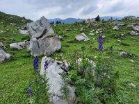 Wanderung auf der Schwägalp