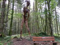 Engelberg, Wanderung entlang des Blumenweges