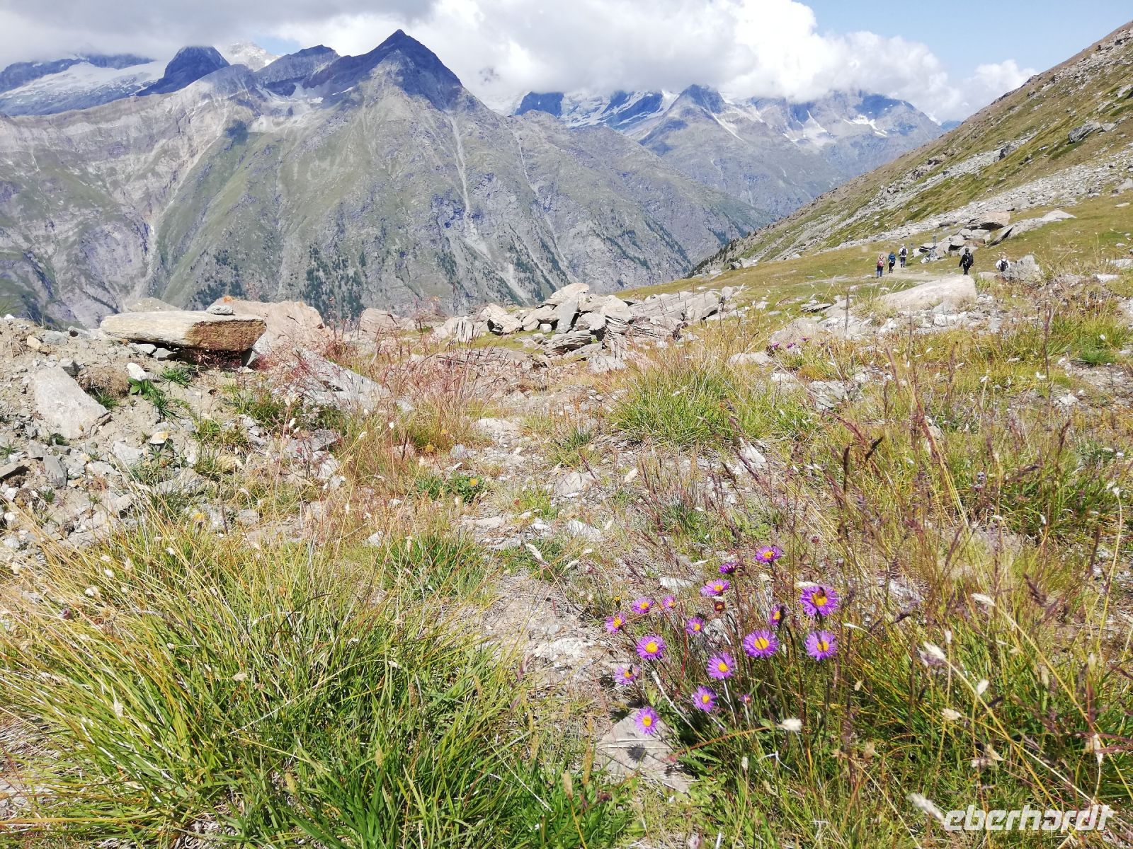 Zermatt, Rothorn, Wanderung entlang des Blumenweges