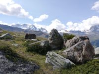 Zermatt, Rothorn, Wanderung entlang des Blumenweges