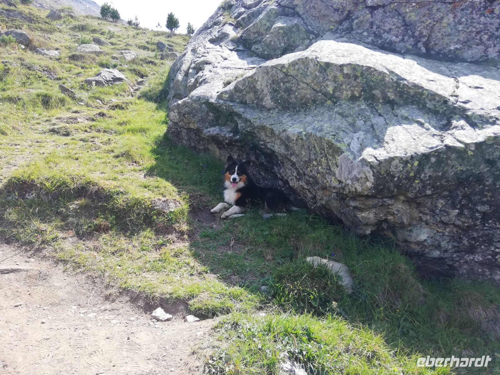 Zermatt, Rothorn, Wanderung entlang des Blumenweges