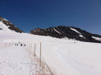 Auf dem Jungfraujoch