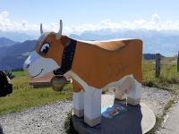 Zu Besuch auf Rigi Kulm