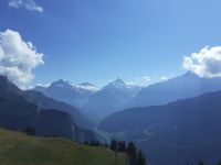 Zu Besuch auf der Schynige Platte