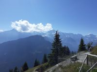 Zu Besuch auf der Schynige Platte