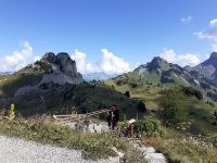 Zu Besuch auf der Schynige Platte