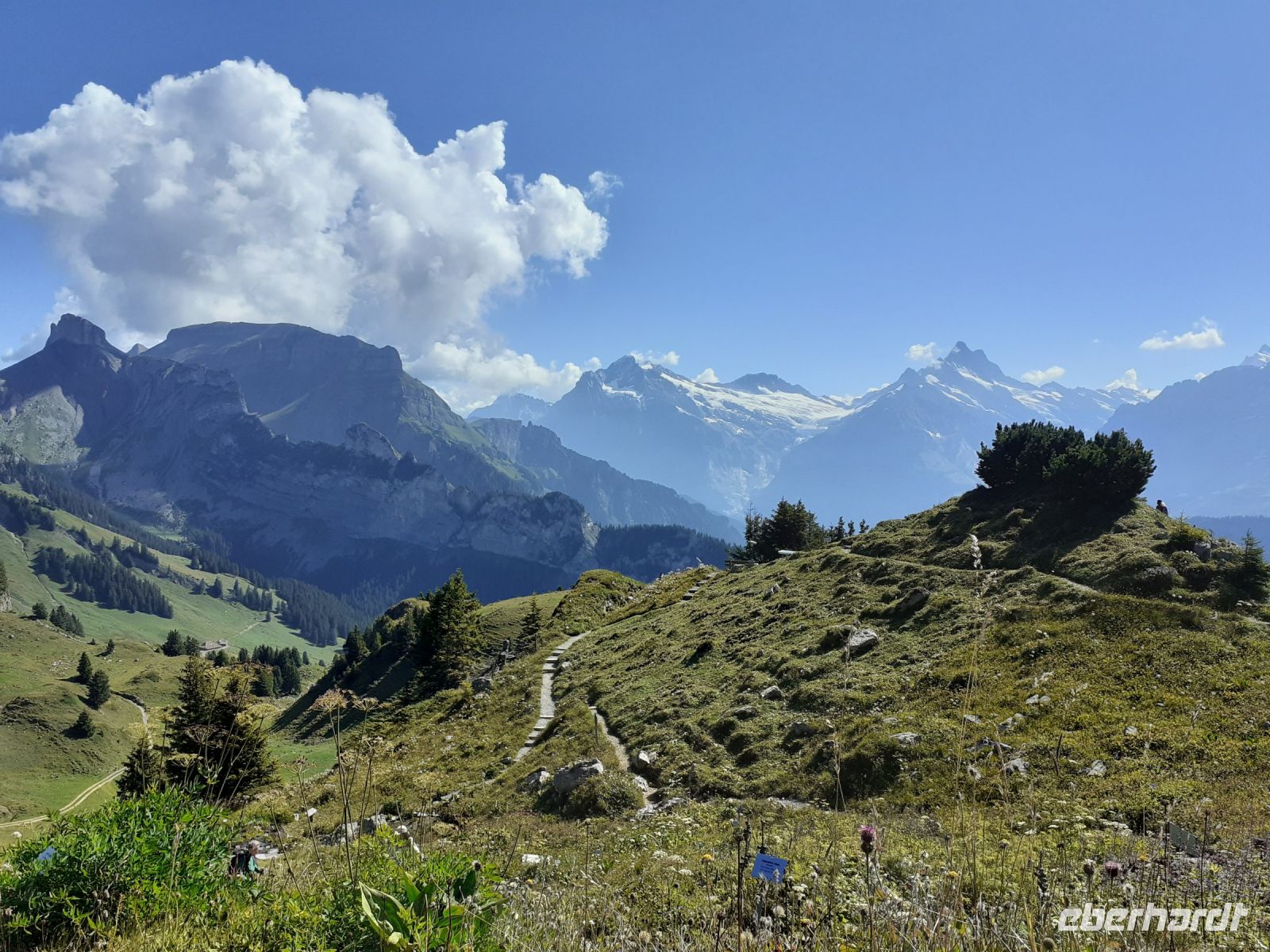 Zu Besuch auf der Schynige Platte