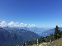 Zu Besuch auf der Schynige Platte