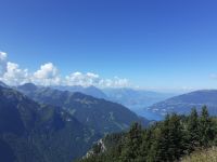 Zu Besuch auf der Schynige Platte