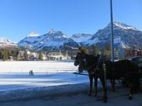 194  Arosa -