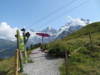 117 Allmendhubel - Flower Trail