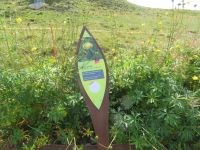 118 Allmendhubel - Flower Trail