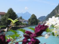 146 Interklaen - Blick zum Niesen