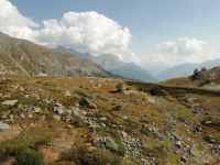 Fahrt mit dem Berninaexpress 